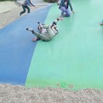 phoca_thumb_m_vp 2.den 288 Fotogalerie